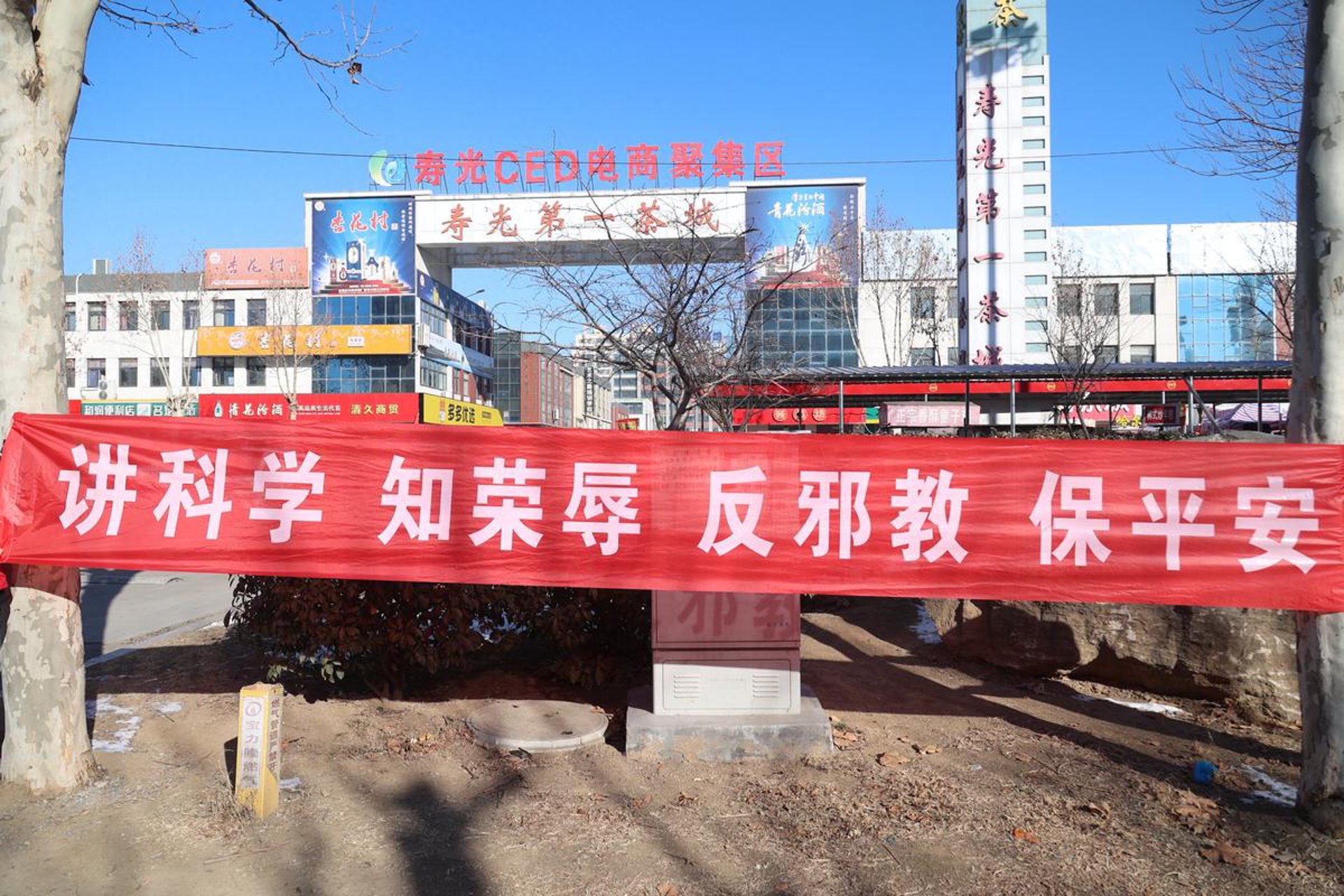 学桑电商